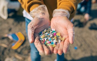 Semnal de alarmă al ecologiștilor. Particulele de microplastic au un întreg „circuit în natură” și sunt prezente și în aerul pe care îl respirăm
