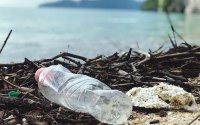 Primul plastic biodegradabil se descompune sub acțiunea apei și căldurii
