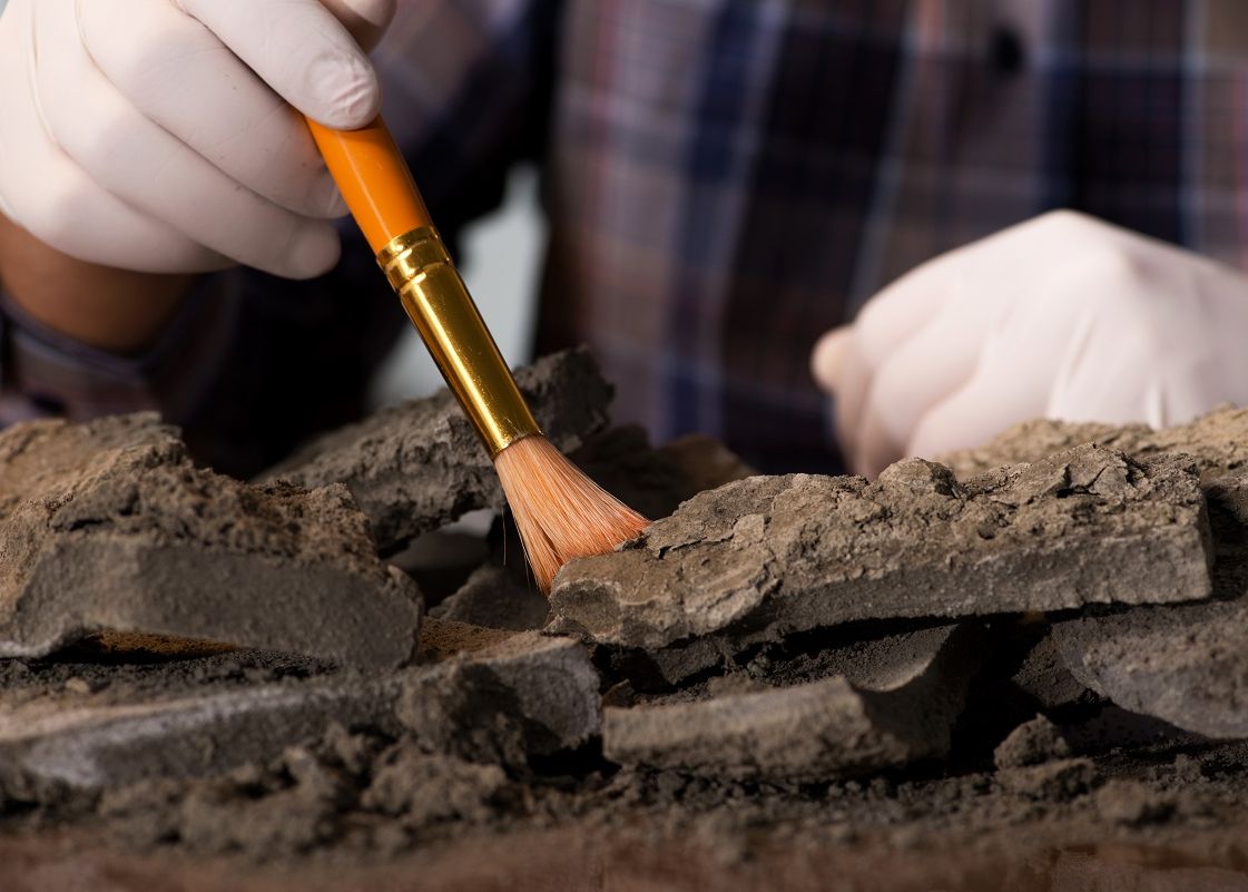 Premiera Istorica Arheologilor Nu Le A Venit Sa Creada Ce Au Gasit Atunci Cand Efectuau Un Studiu De Rutina