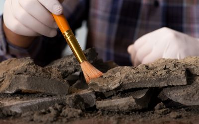 Premieră istorică. Arheologilor nu le-a venit să creadă ce au găsit atunci când efectuau un studiu de rutină