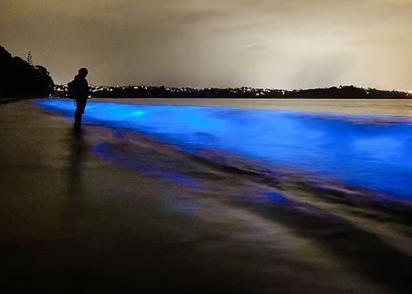 Fotografie Impresionanta Realizata Pe Malul Oceanului Care Este Explicatia