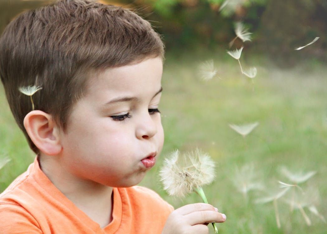 Care sunt primele amintiri ale unui om? Concluzie surprinzătoare Care Sunt Primele Amintiri Ale Unui Om Concluzie Surprinzatoare