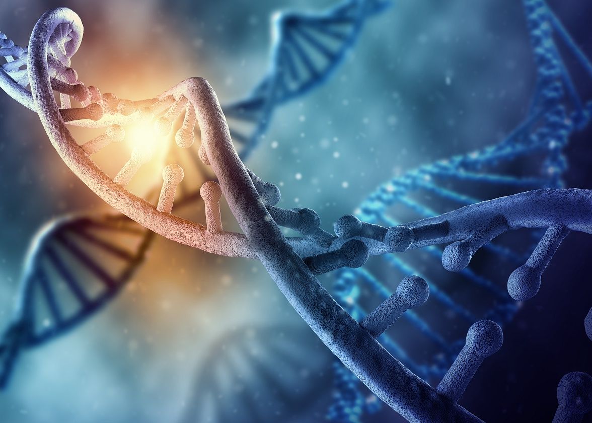 Ce contează mai mult pentru o viață lungă: genetica sau stilul de viață? Răspunsul oamenilor de știință Ce Conteaza Mai Mult Pentru O Viata Lunga Genetica Sau Stilul De Viata Raspunsul Oamenilor De Stiinta