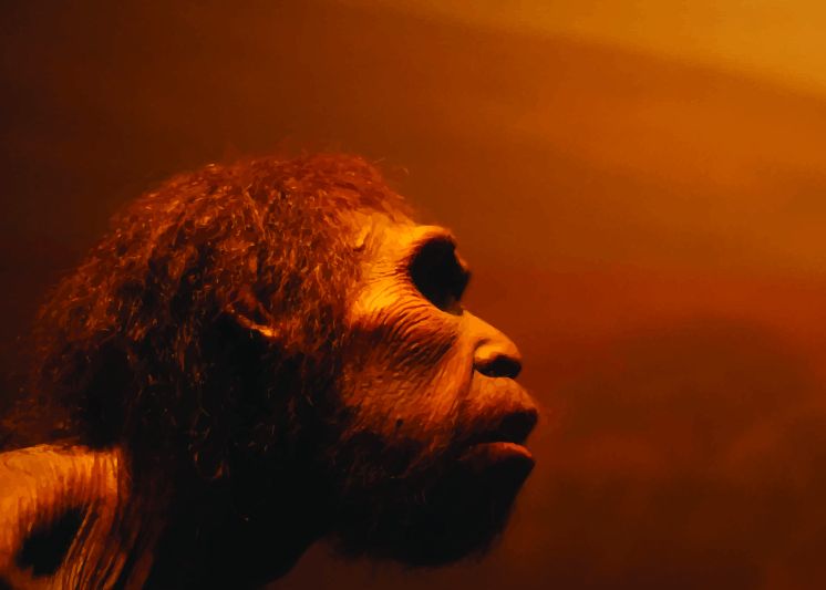 Decoperirea Socanta Care Ar Putea Schimba Ceea Ce Stim Despre Istoria Omenirii