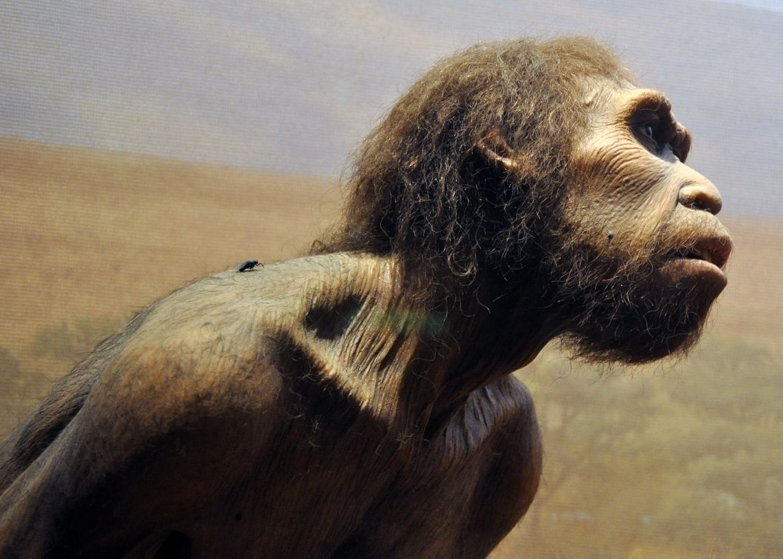 Un craniu descoperit în China ar putea rescrie istoria omenirii. Pare să fie o nouă specie umană Un Craniu Descoperit In China Ar Putea Rescrie Istoria Omenirii Pare Sa Fie O Noua Specie Umana