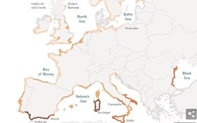 Cât de poluat este aerul din stațiunile litorale? Iată destinațiile care trebuie evitate