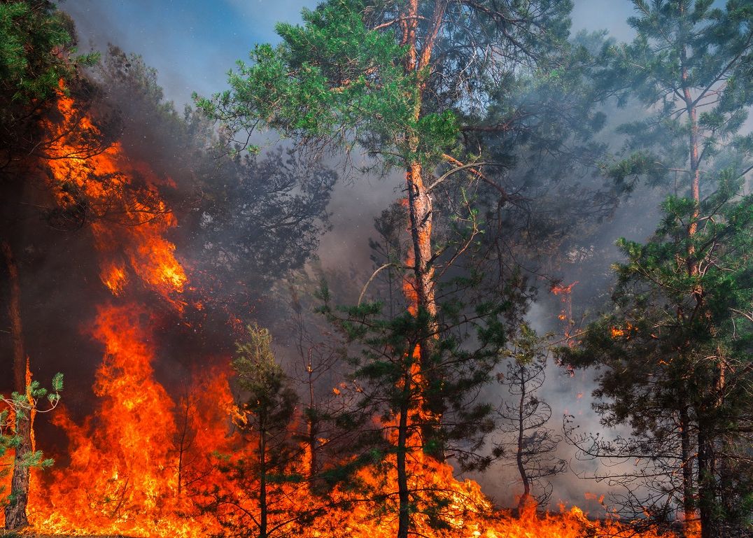 Onu Ultimatum Pentru Omenire Efectele Schimbarilor Climatice Sunt Zfara Precedent Si Zireversibile