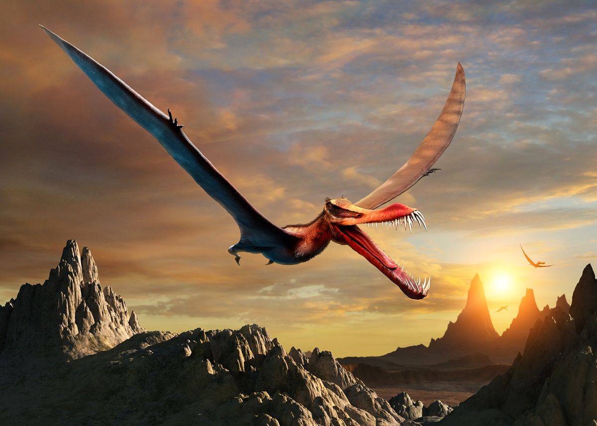 Dragonii Au Existat Cu Adevarat O Specie Foarte Asemanatoare Domina Australia In Urma Cu Mii De Ani