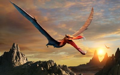 Dragonii au existat cu adevărat. O specie foarte asemănătoare domina Australia în urmă cu milioane de ani 