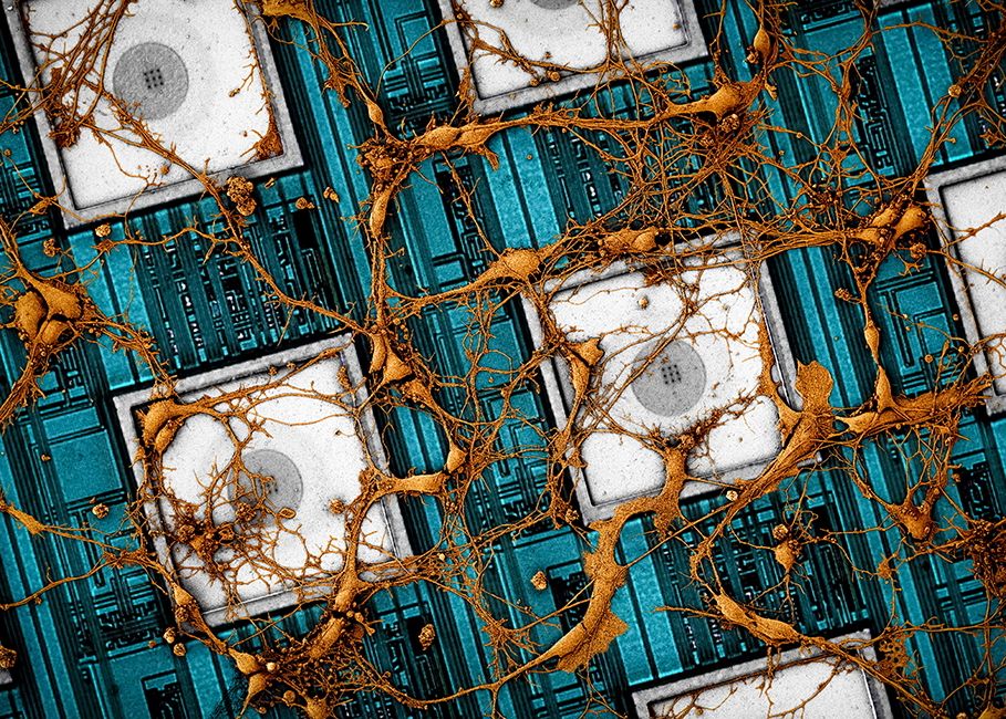 Samsung Vrea Sa Ti Zcopieze Creierul Intr Un Cip 3d