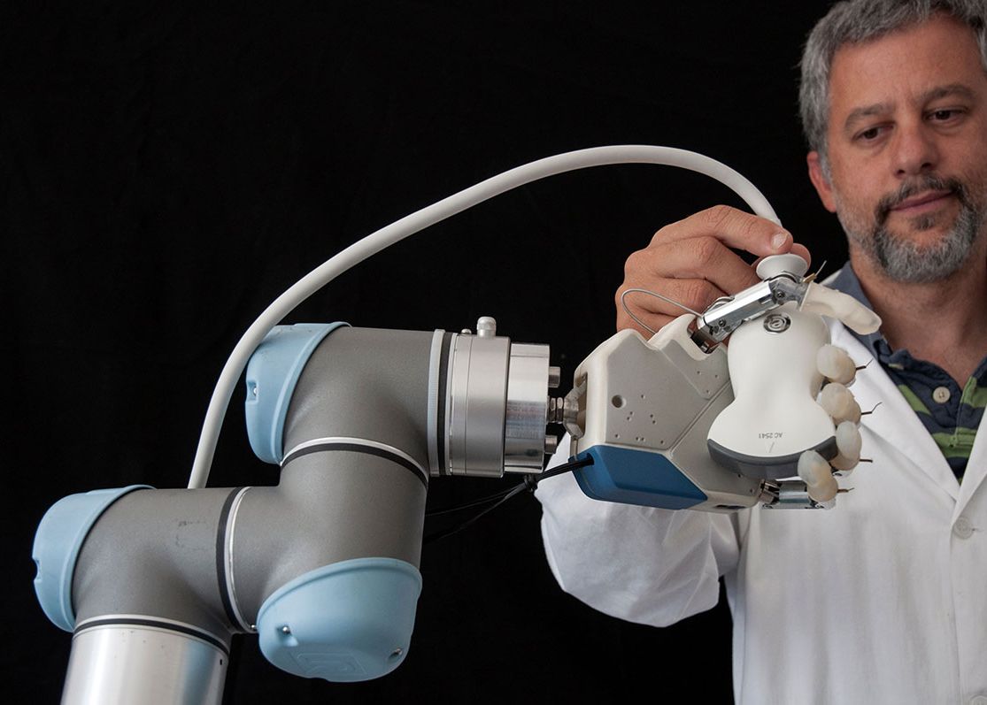 P Brat Robot Sau Munca Manuala