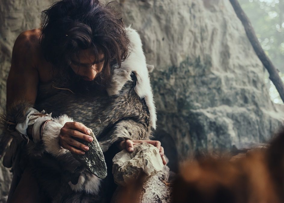 Stramosul Zfantoma Al Omului Descoperit Cu Ajutorul Inteligentei Artificiale