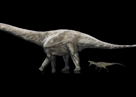 O nouă fosilă sugerează existența unui nou „candidat” la titlul de cel mai lung dinozaur care a trăit vreodată O Noua Fosila Sugereaza Existenta Unui Nou Zcandidat La Titlul De Cel Mai Lung Dinozaur Care A Trait Vreodata