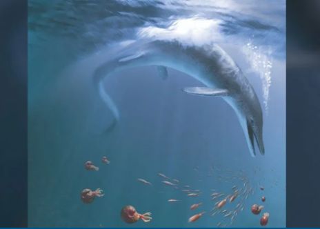 Oamenii de știință au descoperit un monstru marin gigantic ce a trăit în „Superoceanul” preistoric Oamenii De Stiinta Au Descoperit Un Monstru Marin Gigantic Ce A Trait In Zsuperoceanul Preistoric