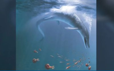 Oamenii de știință au descoperit un monstru marin gigantic ce a trăit în „Superoceanul” preistoric 