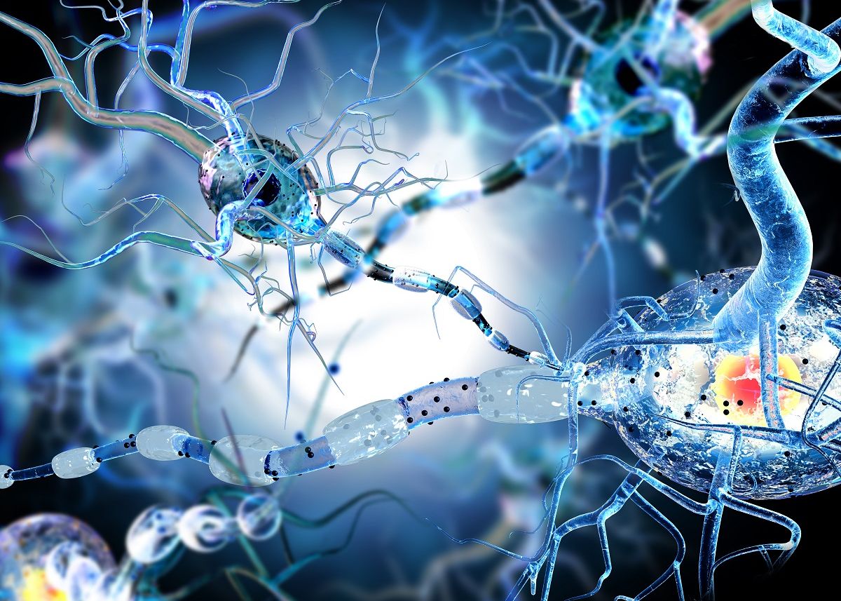 S-a descoperit o cauză foarte probabilă a sclerozei multiple. Este un virus extrem de des întâlnit S A Descoperit O Cauza Foarte Probabila Care Provoaca Scleroza Multipla Este Un Virus Extrem De Des Intalnit