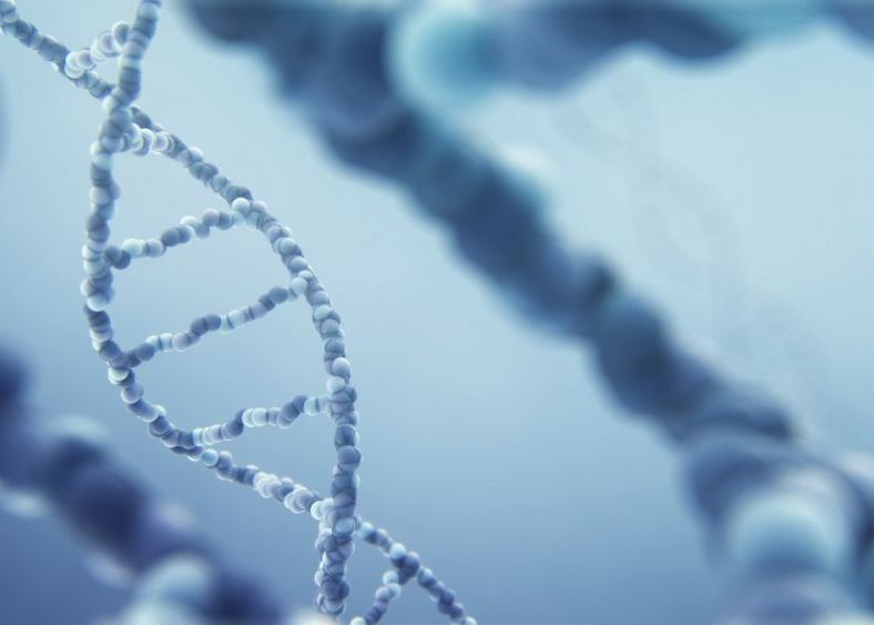 Darwin S A Inselat Descoperirea Ce Rastoarna Una Dintre Ipotezele Majore Ale Celebrului Naturalist