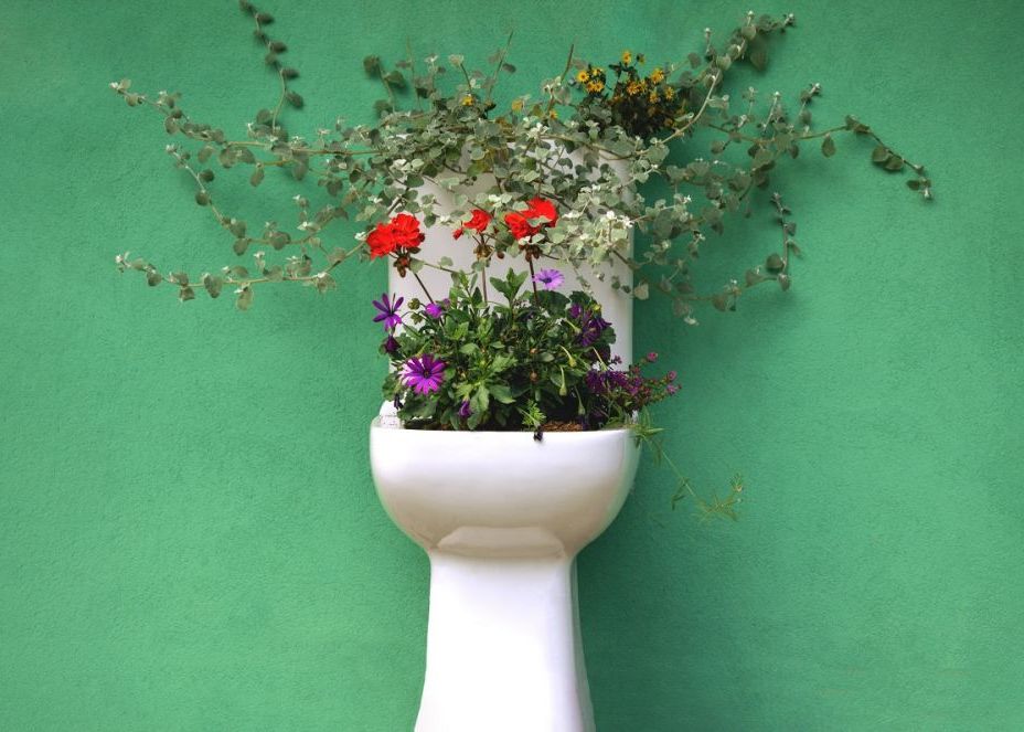 Cum Ar Putea Ajuta La Salvarea Planetei Reciclarea Unei Substante La Care Nu Te Ai Fi Gandit