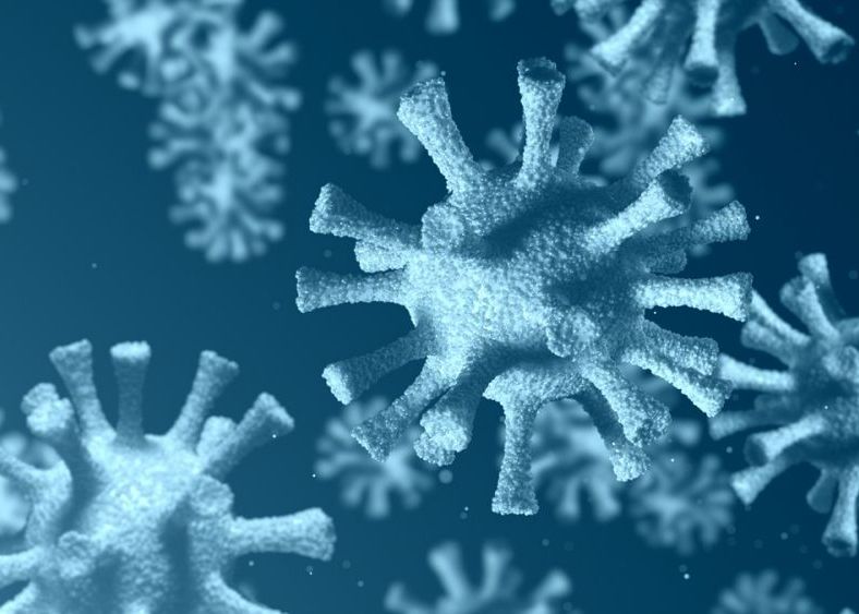 Ar Putea Virusurile Antice Zblocate In Permafrost Sa Provoace Urmatoarea Pandemie