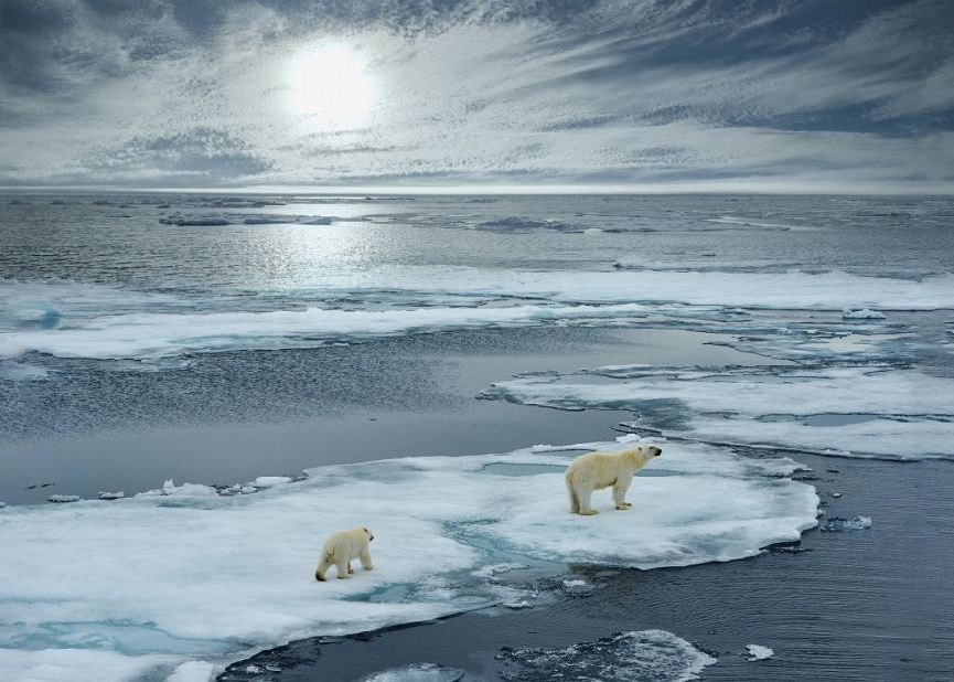 Nivelul gheții marine din Antarctica, cel mai scăzut din istorie. Se topește de trei ori mai repede decât în 1990 Nivelul Ghetii Marine Din Antarctica Cel Mai Scazut Din Istorie Se Topeste De Trei Ori Mai Repede Decat