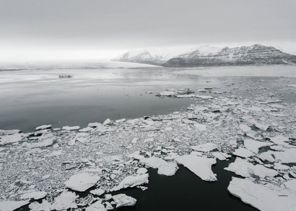Val De Caldura La Poli Temperaturile Sunt Cu Peste 40 De Grade Celsius Mai Mari
