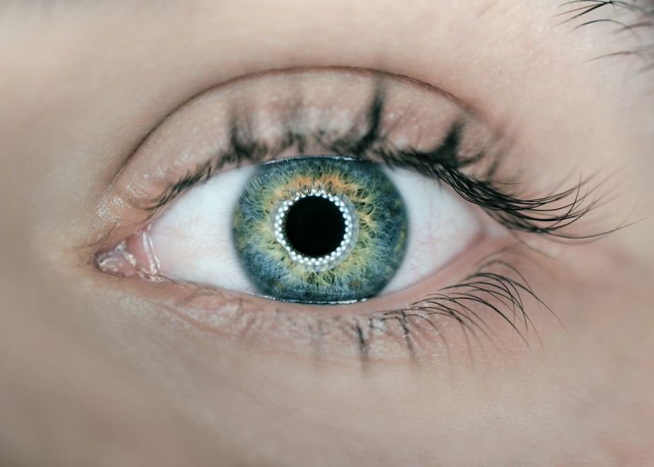 Sunetul poate stimula retina, pentru a reda simțul văzului Sunetul Poate Stimula Retina Pentru A Reda Simtul Vazului