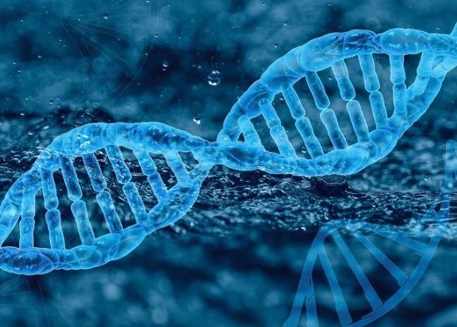 Secventierea Completa A Genomului Uman Publicata Dupa 20 De Ani De Cercetari