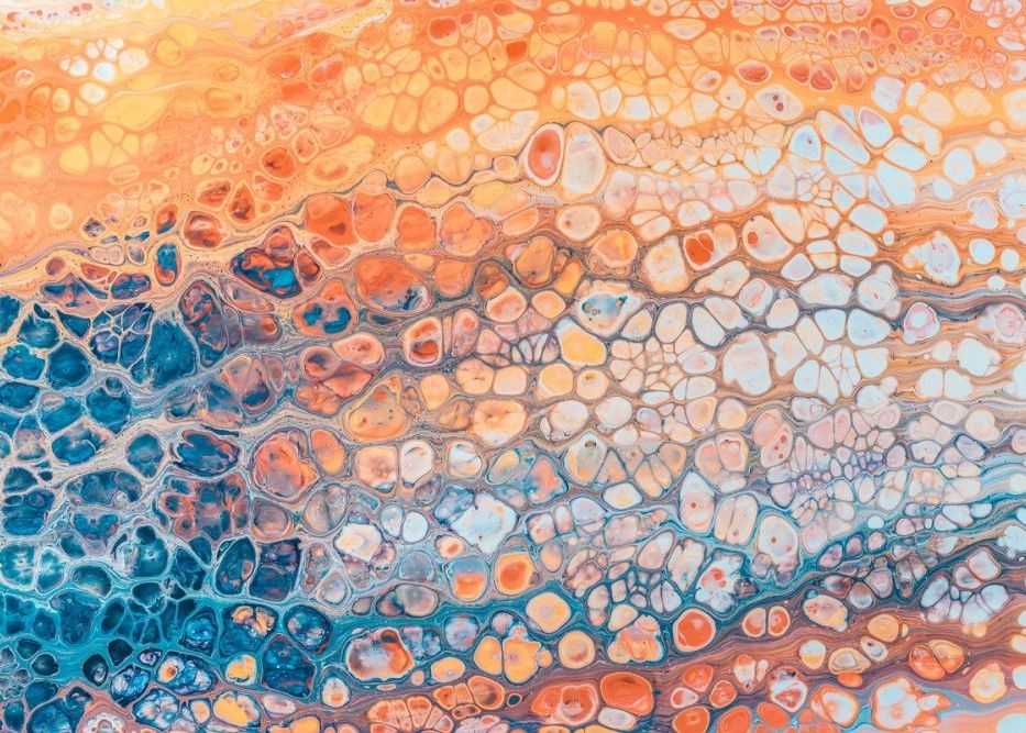 Oamenii De Stiinta Au Descoperit Un Nou Tip De Celula In Corpul Uman Unde Se Afla Si Ce Rol Are