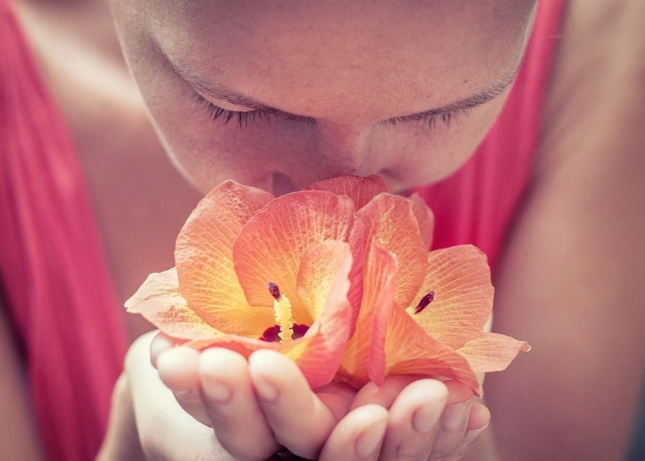 Care Sunt Cele Mai Placute Mirosuri Din Lume