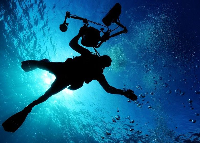 Mii de noi specii de virusuri, descoperite în oceane Mii De Noi Specii De Virusuri Descoperite In Oceane