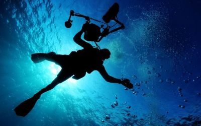Mii de noi specii de virusuri, descoperite în oceane