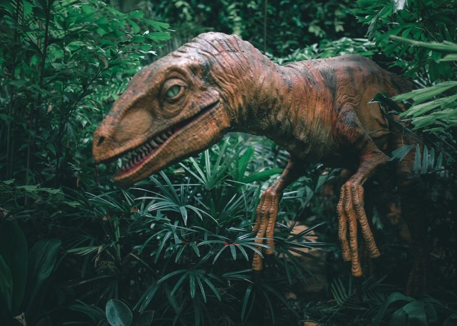 Paleontologii au găsit fosilele celui mai mare dinozaur carnivor din Europa Paleontologii Au Gasit Fosilele Celui Mai Mare Dinozaur Carnivor Din Europa