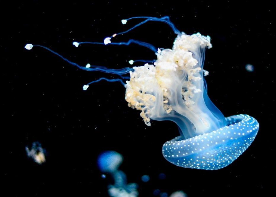 Factorul Surpriza Care Ar Fi Putut Determina Aparitia Vietii Pe Pamant