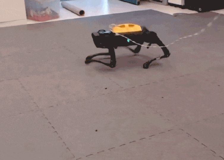 Un Caine Robot A Invatat Singur Sa Mearga