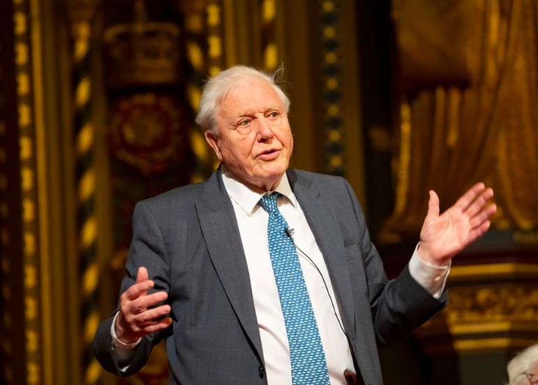 Primul animal de pradă care a existat pe Terra a primit numele lui David Attenborough Cel Mai Zbatran Animal De Prada Cunoscut A Primit Numele Lui David Attenborough