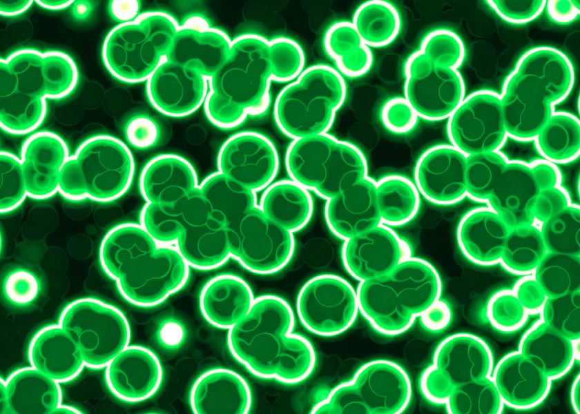 O Noua Descoperire Ar Putea Clarifica Misterul Originii Vietii Pe Pamant