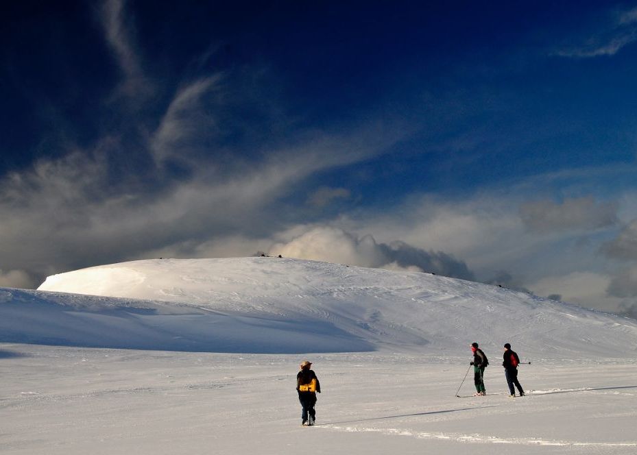 Cu Zeci De Ani In Urma O Femeie A Supravietuit Dupa Ce A Zinghetat De Vie Care Este Explicatia Din Spatele