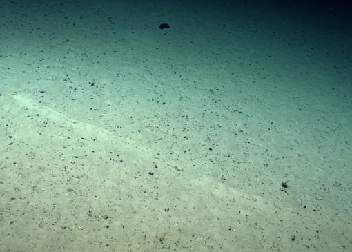 Craterele Misterioase Care Apar Pe Fundul Oceanului O Enigma Pentru Cercetatorii Din Toata Lumea