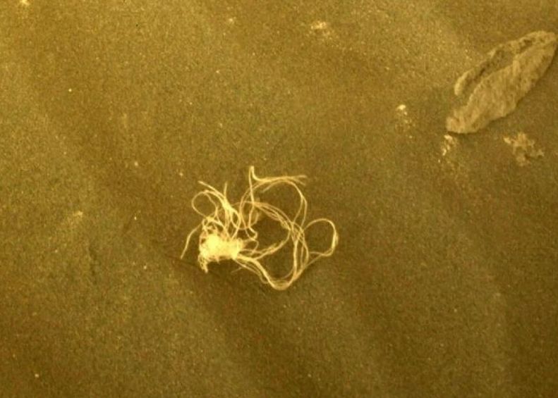 Ce Este Obiectul Ciudat Gasit De Roverul Nasa Pe Marte