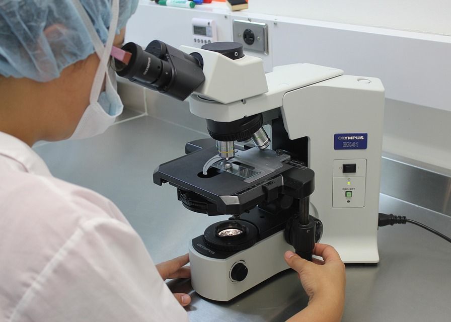 Oamenii de știință au creat un material inteligent, care simte și „gândește” Oamenii De Stiinta Au Creat Un Material Inteligent Care Simte Si Zgandeste