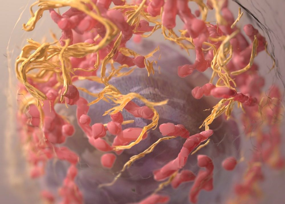 Caz Incredibil O Femeie A Avut Cancer De 12 Ori Pana La Varsta De 36 De Ani Genele Ei Au Aratat Ceva Nemaivazut