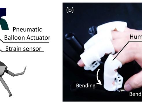 Degetele Robotice Minuscule Care Le Permit Oamenilor Sa Interactioneze Cu Insectele
