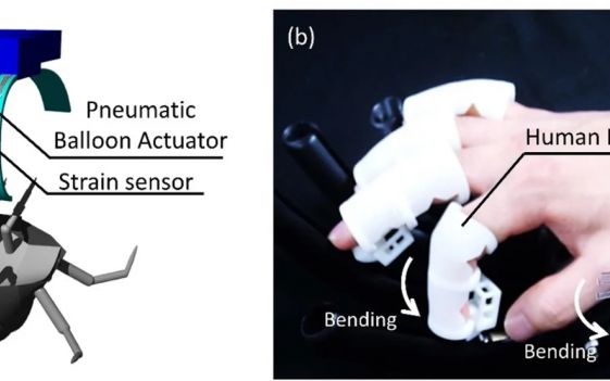 Degetele Robotice Minuscule Care Le Permit Oamenilor Sa Interactioneze Cu Insectele