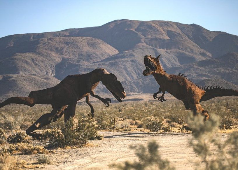 Cum Ar Fi Aratat Dinozaurii Astazi Daca Ar Fi Trait Inca Pe Pamant