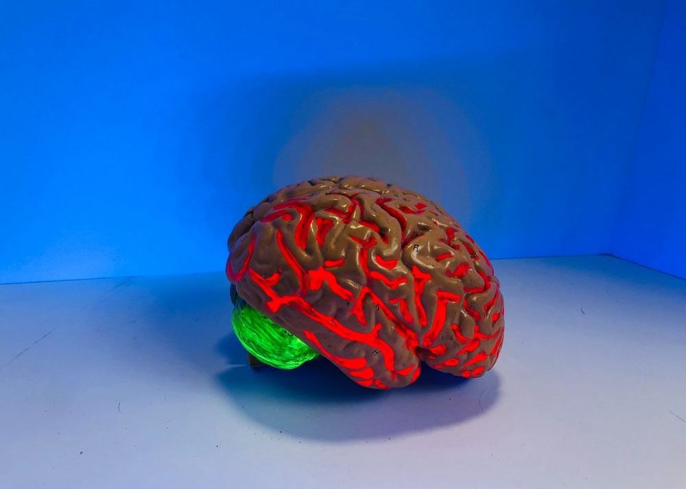 O Companie De Tehnologie Vrea Sa Vindece Bolile Creierului Cu Ajutorul Unor Roboti Minusculi