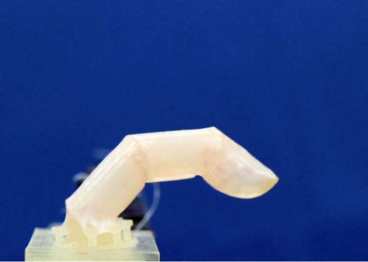 Oamenii De Stiinta Au Dezvoltat In Laborator Un Deget Robotizat Acoperit De Piele Umana