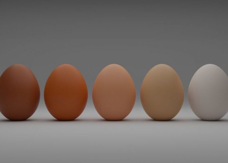 Cand Vor Ajunge Pe Piata Ouale De Gaina Realizate In Laborator