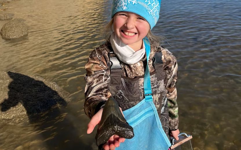 Descoperirea Incredibila Facuta De Un Copil De 9 Ani Aflat Intr O Excursie Cu Familia Este Veche De 15