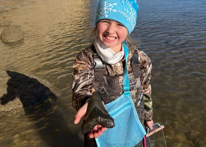 Descoperirea Incredibila Facuta De Un Copil De 9 Ani Aflat Intr O Excursie Cu Familia Este Veche De 15