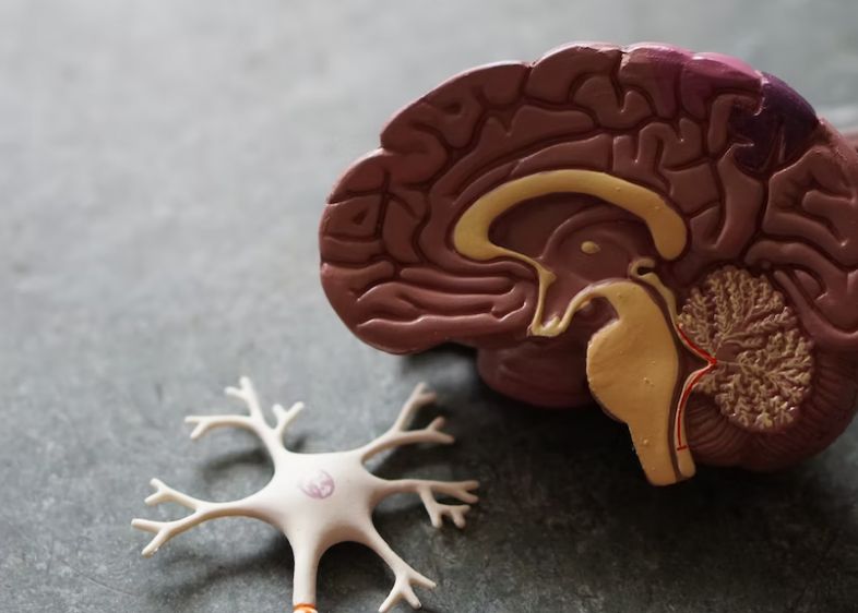 Premieră mondială incredibilă. Un tânăr de 19 ani a fost diagnosticat cu boala Alzheimer Premiera Mondiala Incredibila Un Tanar De 19 Ani A Fost Diagnosticat Cu Boala Alzheimer